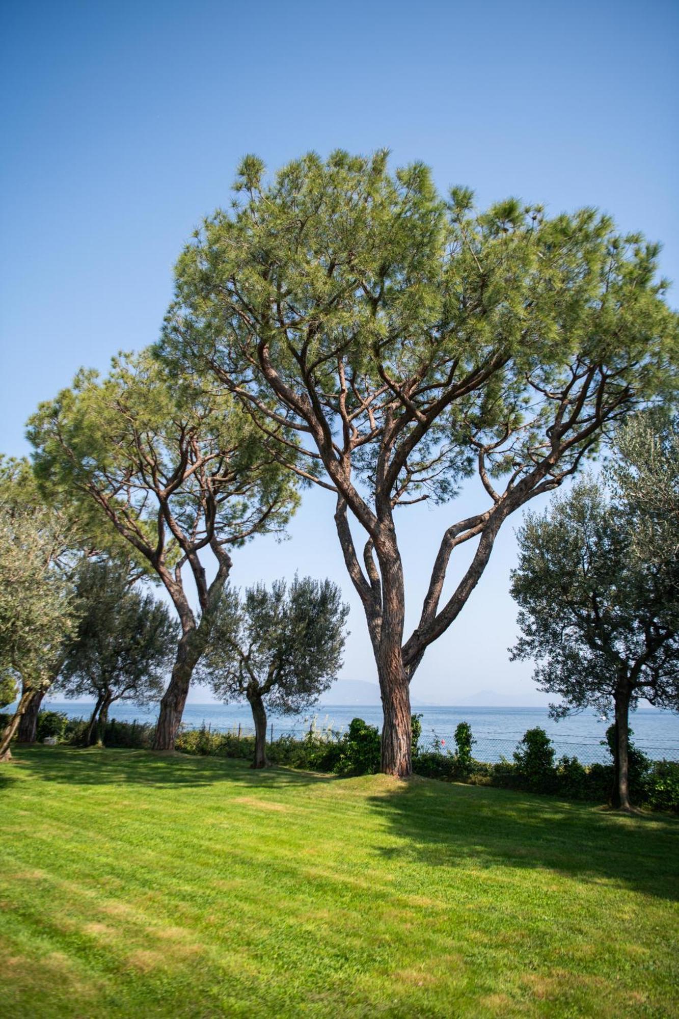 Villa Elena Manerba del Garda Exterior foto